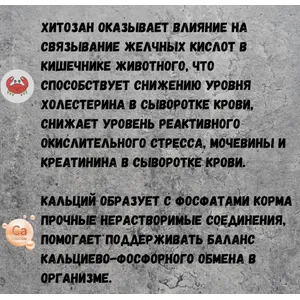 Прорентин для поддержания функции почек у собак и кошек, 60мг