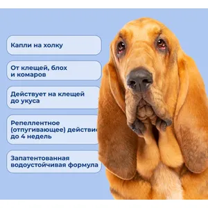 Атакса капли от клещей и блох для собак весом от 25 до 40 кг, 1 пипетка 4,0 мл