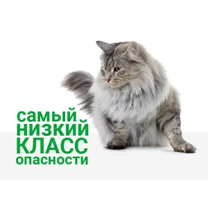 БлохНэт ФОРТЕ капли для кошек до 5 кг, 1 пипетка 0,5 мл