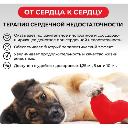 Авекардит 10 мг (пимобендан) для собак для терапии сердечной недостаточности, уп 28 таб