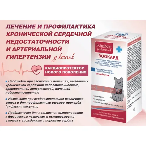 Зоокард таблетки для кошек, уп 10 таб