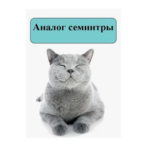 Силта 4мг/мл - раствор для перорального применения при ХБП у кошек, 30 мл