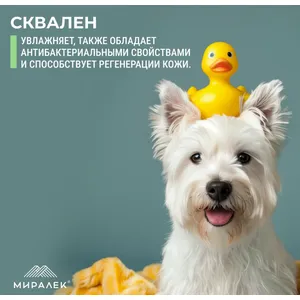 Шампунь СкинВет Себ (SkinVet Seb) со скваленом и фитосфингонзином (0,1%) для животных, фл. 200 мл