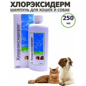 Хлорэксидерм - шампунь с хлоргексидином 4% , 250 мл.