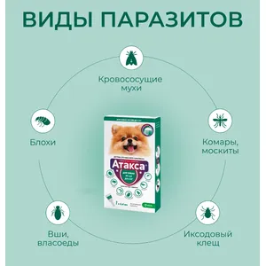 Атакса капли от клещей и блох для собак весом от 1,5 до 4 кг, 1 пипетка 0,4 мл
