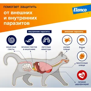 Адвокат для кошек весом до 4 кг и хорьков, 1 пипетка по 0,4 мл, срок 11.24г