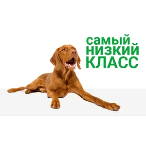 БлохНэт ФОРТЕ капли для собак от 20 до 30 кг, 1 пипетка 3,0 мл