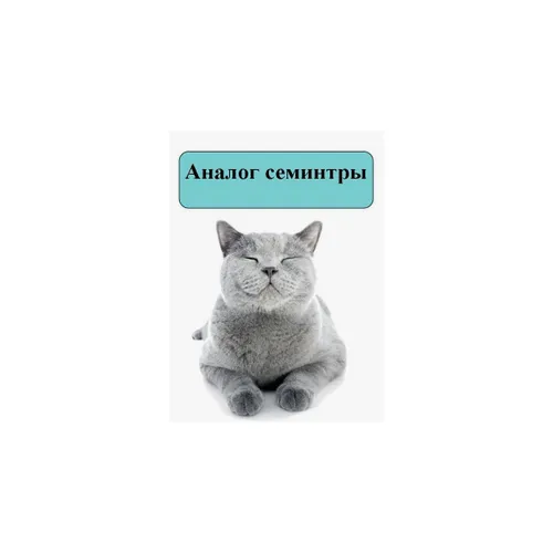 Силта 4мг/мл - раствор для перорального применения при ХБП у кошек, 30 мл