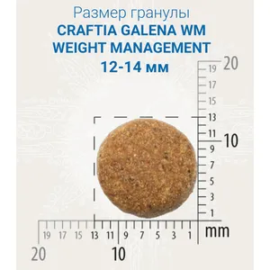 Крафтия Обесити для собак (Craftia Weight Management Obesity) при избыточном весе, 2 кг