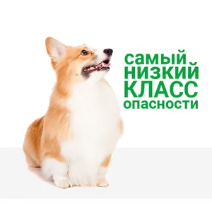 БлохНэт ФОРТЕ капли для щенков и собак от 5 до 10 кг, 1 пипетка 1,0 мл