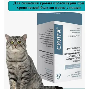 Силта 4мг/мл - раствор для перорального применения при ХБП у кошек, 30 мл