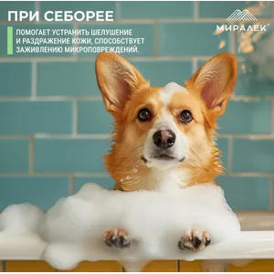 Шампунь СкинВет Себ (SkinVet Seb) со скваленом и фитосфингонзином (0,1%) для животных, фл. 200 мл