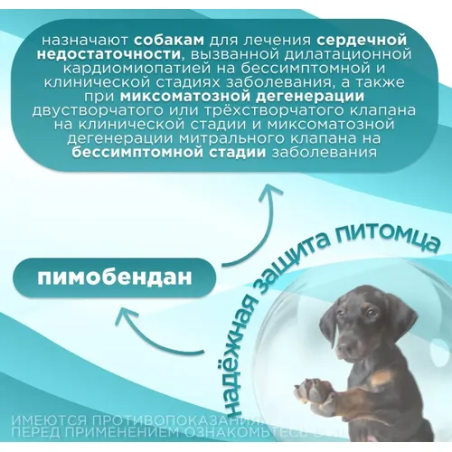 Пимокардин 5 мг (пимобендан) для лечения сердечной недостаточности, уп 50 таб