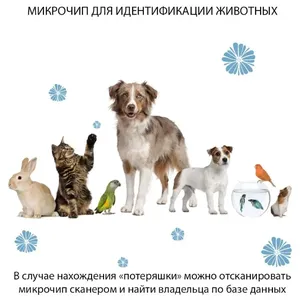 Микрочип 1.4 * 8 мм (размер 1) Энимал Айди (Ecopet Animal ID) с индивидуальным цифровым кодом, уп 1шт.