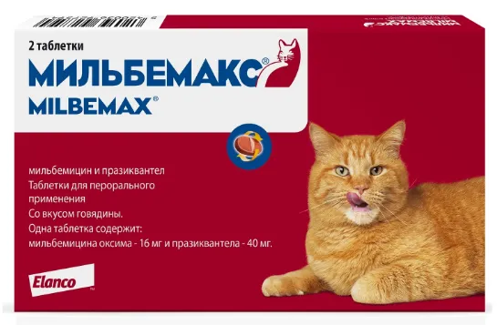 мильбемакс для кошек способ применения