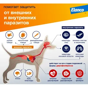 Адвокат для собак массой от 10 до 25 кг,  1 пипетка по 2,5 мл