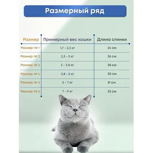 Попона VitaVet № 4 для кошек на молнии 3,8 - 5,0 кг, 1 шт