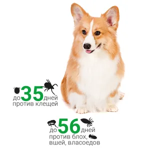 БлохНэт ФОРТЕ капли для щенков и собак от 5 до 10 кг, 1 пипетка 1,0 мл